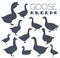 Poultry farming. Goose breeds icon set. Flat design