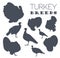 Poultry farming. Turkey breeds icon set. Flat design