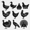 Poultry silhouettes set. Domestic fowls icons