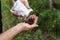 Pour food into the hand. Pour the snack into the palm of your hand.