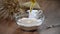 Pour olive oil in a bowl of flour. Cooking bread