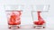 Pour red food coloring into a glass of warm water on the left and vinegar on the right, Diffusion science concept
