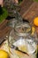 Pour the vodka into the big preserving jar with the fresh elderflowers, oranges and lemon slices, sugar and the vanilla pod