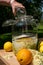 Pour the vodka into the big preserving jar with the fresh elderflowers, oranges and lemon slices, sugar and the vanilla pod