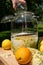 Pour the vodka into the big preserving jar with the fresh elderflowers, oranges and lemon slices, sugar and the vanilla pod