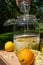 Pour the vodka into the big preserving jar with the fresh elderflowers, oranges and lemon slices, sugar and the vanilla pod