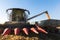 Pouring Corn Grain Into Tractor Trailer