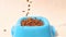 Pouring dry kibble dog food into the blue plastic bowl on white background