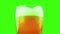 Pouring fresh beer with foam into glass on chroma key, green screen background