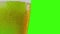Pouring fresh beer with foam into glass on chroma key, green screen background