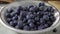 Pouring fresh blueberries into a bowl slow motion
