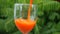 Pouring Fresh Orange Juice in Glass. Healty Detox Footage HD Slowmotion.