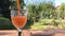 Pouring a glass of carrot apple juice in a glass, summer drink