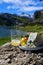 Pouring in glass of natural Asturian cider made fermented apples, Asturian cabrales cow blue cheese with view on Covadonga