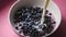 Pouring milk on fresh blueberries