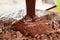 Pouring mixture of chocolate eggs and flour
