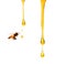 Pouring natural transparent honey.