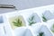 Pouring oil into ice cube tray with herbs