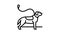 pouring out dog line icon animation