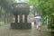 Pouring rain in a Buddhist monastery, Lantau