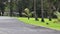 Pouring Rain and green tree in summer at park. Blurred people ride bicycle in the park.