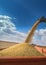 Pouring soybean into trailer