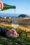 Pouring of txakoli or chacolÃ­ slightly sparkling very dry white wine produced in Spanish Basque Country on vineyards in Getaria