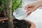 Pouring water from bottle into cup for share good