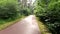 POV cycling shot, riding fast along the summer park pathway