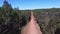 POV Driving along dirt road to treetop aerial