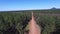 POV Driving along dirt road to treetop aerial