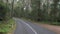 POV driving through forest road, Murramarang National Park, Australia