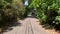 POV fast speed narrow paved road beautiful vintage homes in Florida