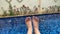 POV female feet against blue swimming pool with floating flowers and tropical bushes in bloom. Relaxing on private villa