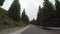 POV of mountain forest road seen from car driving through fog and mist in a gloomy day -