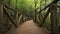 POV point of view walking along wood walkway path on beautiful forest.