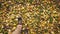 POV shoot on legs in black boots walk on yellow foliage, slow motion