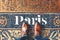 a pov shot looking down on a persons feet standing on a mosaic tiled floor with the word Paris