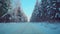 POV shot slowly forward moving on path in winter forest surrounded by tall fir spruce at sunset