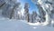 POV: Shredding the fresh pristine white snow while snowboarding through forest.