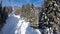 POV from Ski Chair Lift Between Pine Forest and Skiers Rising up on Cableway