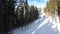 POV from Ski Chair Lift Between Pine Forest and Skiers Rising up on Cableway