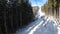 POV from Ski Chair Lift Between Pine Forest and Skiers Rising up on Cableway