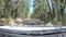 POV Time Lapse Vehicle driving on dirt road in a forest