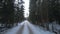 POV video driving a car on a snowy forest road in winter at sunset.