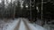 POV video driving a car on a snowy forest road in winter at sunset.