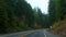 Pov view of Driving Country Highway Lined By Green Forests in Oregon . Wide shot