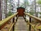 A PoV view of someone walking towards a remote wooden outhouse in the forest in the gulf islands of british columbia, canada.