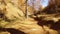 POV walking on fall woods path near trees. Sunny autumn day Hiking in colorful red forest wild nature mountain outdoors