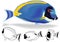 Powder Blue Tang Set